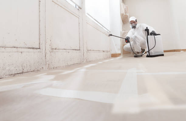 24/7 Emergency Mold Remediation experts in Colonia, NJ